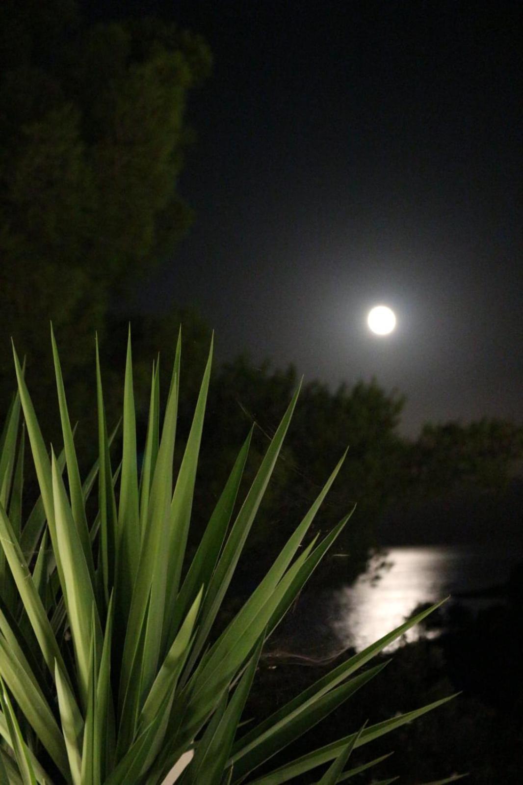 Holiday Hvar Vrbanj 外观 照片
